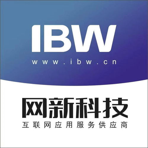 网新科技集团