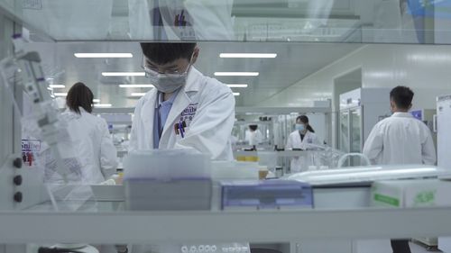 世界工厂 发力 双统筹 助力全球供应链稳定