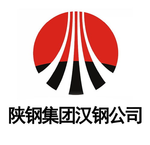 陕西龙门钢铁 集团 有限责任公司