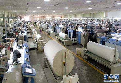 聚焦高质量发展丨湖北通城锚定细分产业赛道锻造山区科技 硬实力