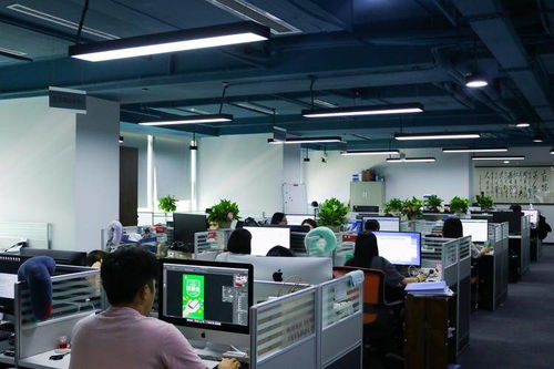 小公司患大公司病
