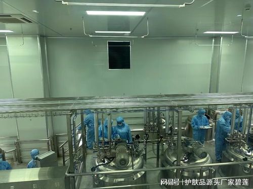 广州碧莲化妆品oem工厂 清洁类护肤品加工定制找什么样的厂家好