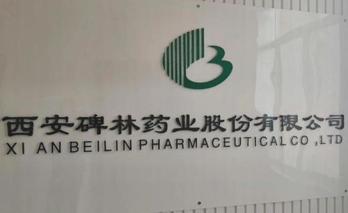 西安碑林药业股份